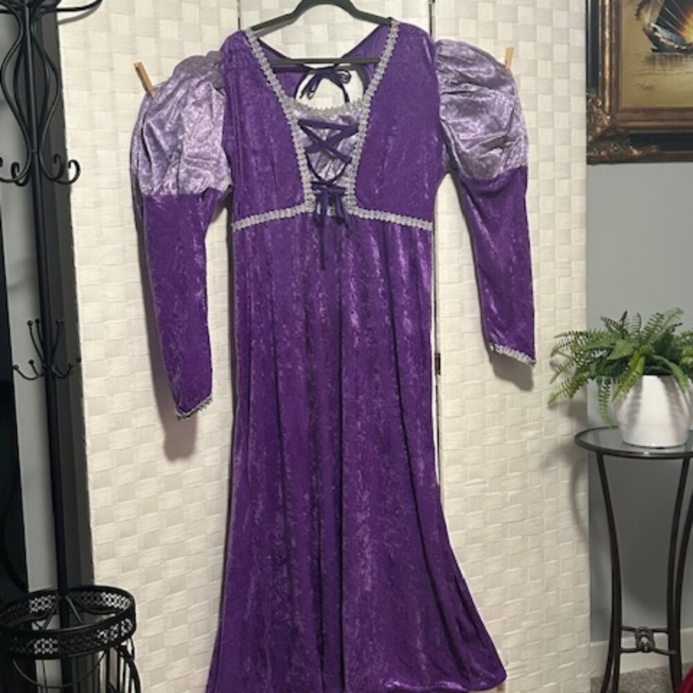 Costume: Purple Renaissance or Princess Dress 2X